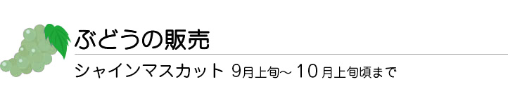 ぶどうの販売