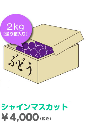 シャインマスカット2ｋｇ送り箱入り￥4000（税込）