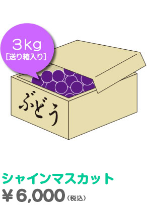 シャインマスカット3kｇ送り箱入り￥6000（税込）