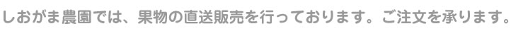 しおがま農園では、果物の直送販売を行っております。ご注文を承ります。